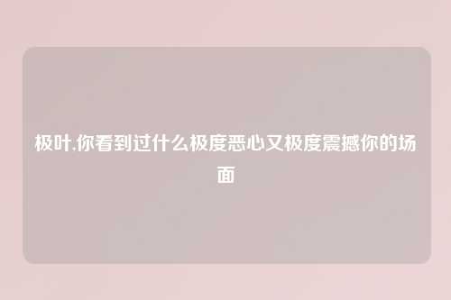 极叶,你看到过什么极度恶心又极度震撼你的场面