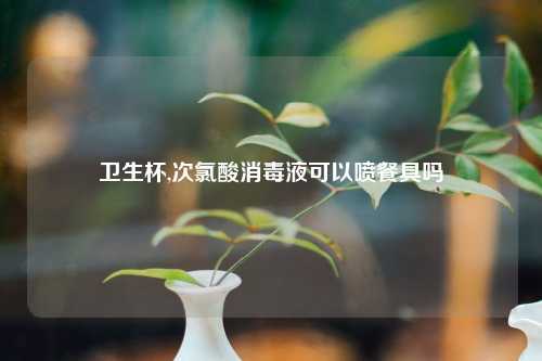 卫生杯,次氯酸消毒液可以喷餐具吗