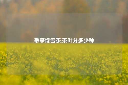 敬亭绿雪茶,茶叶分多少种