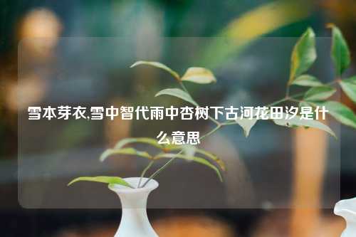 雪本芽衣,雪中智代雨中杏树下古河花田汐是什么意思