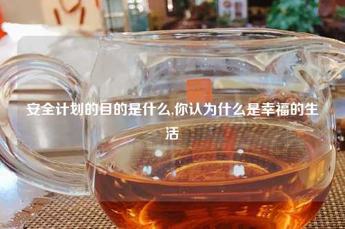 安全计划的目的是什么,你认为什么是幸福的生活