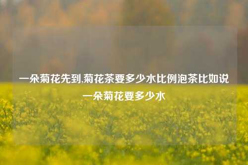 一朵菊花先到,菊花茶要多少水比例泡茶比如说一朵菊花要多少水