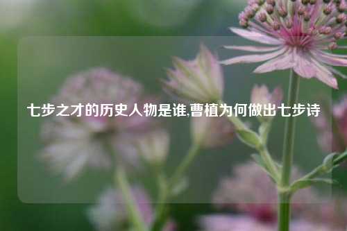 七步之才的历史人物是谁,曹植为何做出七步诗