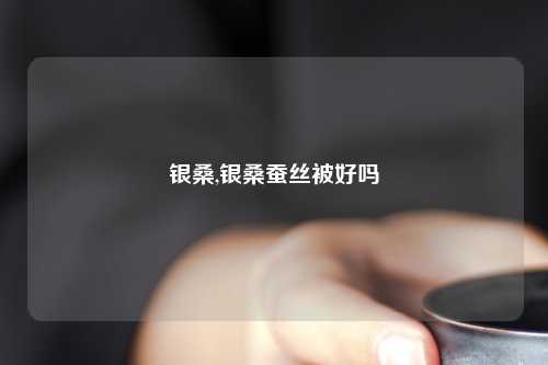 银桑,银桑蚕丝被好吗