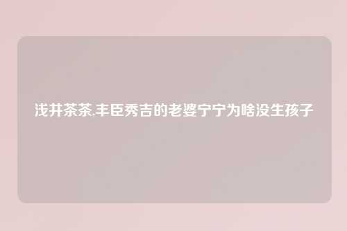 浅井茶茶,丰臣秀吉的老婆宁宁为啥没生孩子