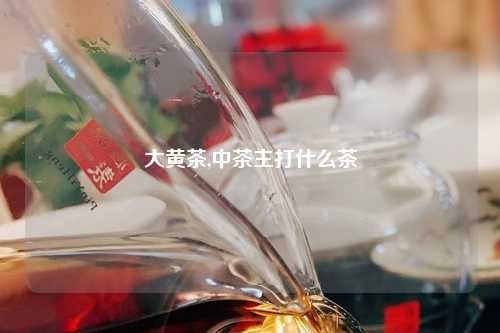大黄茶,中茶主打什么茶