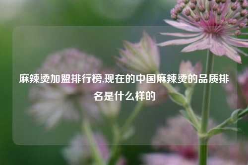 麻辣烫加盟排行榜,现在的中国麻辣烫的品质排名是什么样的
