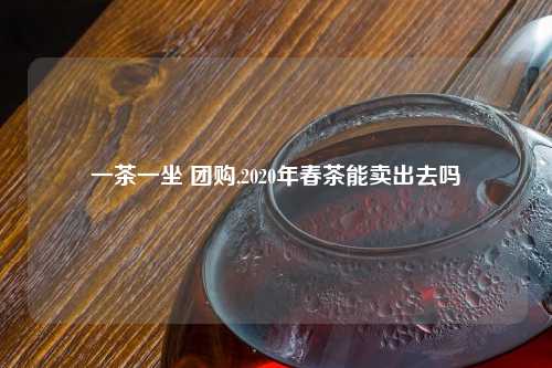 一茶一坐 团购,2020年春茶能卖出去吗