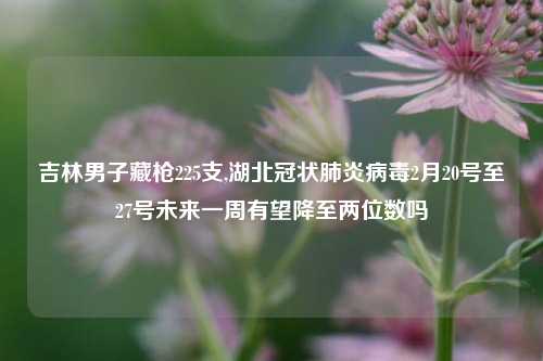 吉林男子藏枪225支,湖北冠状肺炎病毒2月20号至27号未来一周有望降至两位数吗