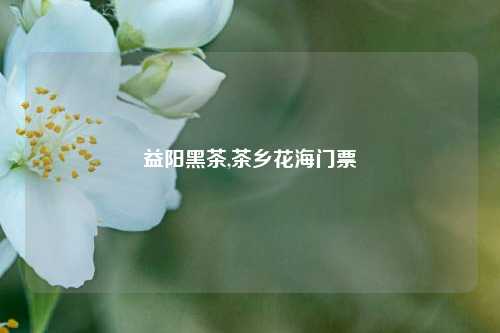 益阳黑茶,茶乡花海门票