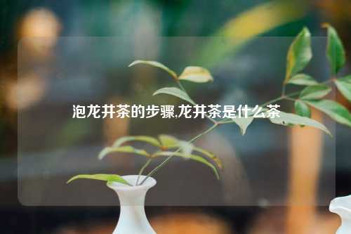 泡龙井茶的步骤,龙井茶是什么茶
