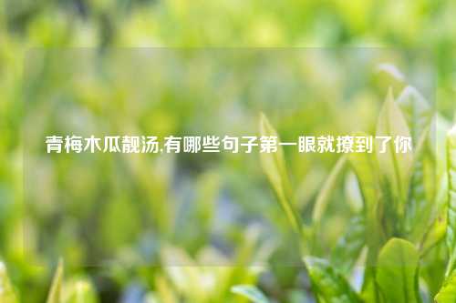 青梅木瓜靓汤,有哪些句子第一眼就撩到了你