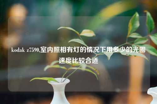 kodak z7590,室内照相有灯的情况下用多少的光圈速度比较合适