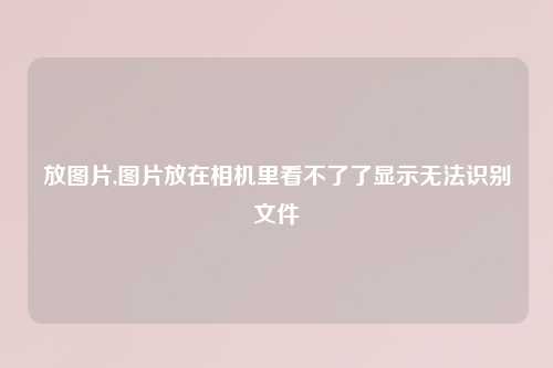 放图片,图片放在相机里看不了了显示无法识别文件