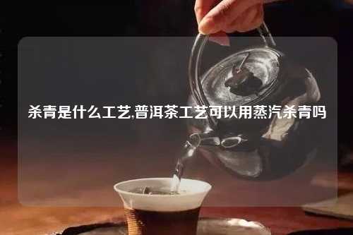 杀青是什么工艺,普洱茶工艺可以用蒸汽杀青吗