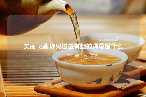 美丽飞蓬,你见过最有趣的弹幕是什么