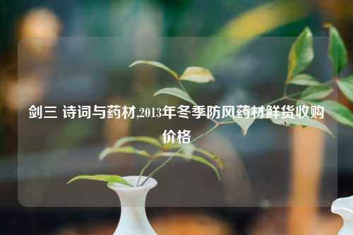 剑三 诗词与药材,2013年冬季防风药材鲜货收购价格