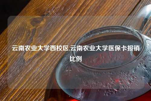 云南农业大学西校区,云南农业大学医保卡报销比例