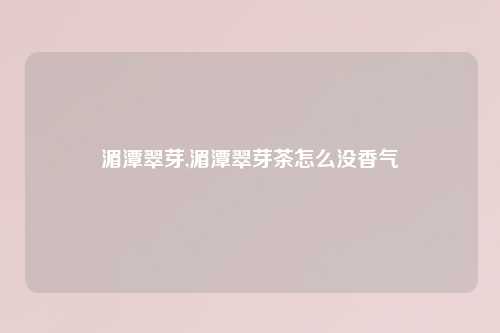 湄潭翠芽,湄潭翠芽茶怎么没香气