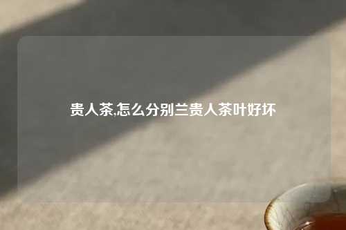 贵人茶,怎么分别兰贵人茶叶好坏