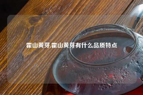 霍山黄芽,霍山黄芽有什么品质特点
