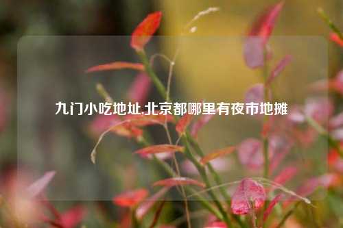 九门小吃地址,北京都哪里有夜市地摊