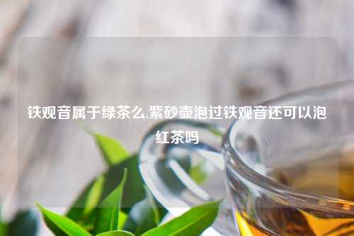 铁观音属于绿茶么,紫砂壶泡过铁观音还可以泡红茶吗