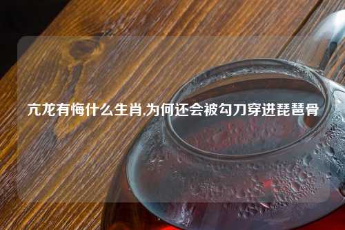 亢龙有悔什么生肖,为何还会被勾刀穿进琵琶骨
