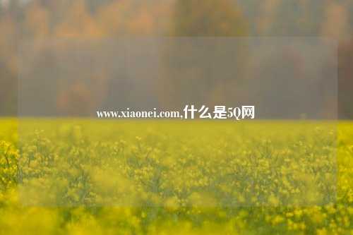www.xiaonei.com,什么是5Q网
