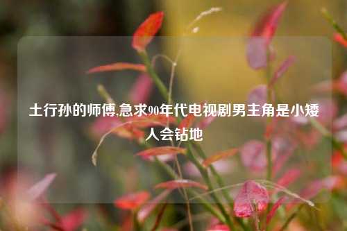 土行孙的师傅,急求90年代电视剧男主角是小矮人会钻地