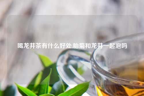 喝龙井茶有什么好处,胎菊和龙井一起泡吗