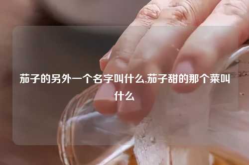 茄子的另外一个名字叫什么,茄子甜的那个菜叫什么