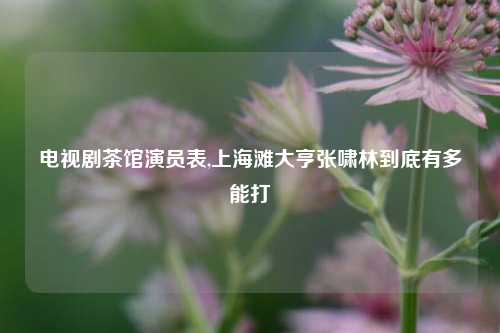 电视剧茶馆演员表,上海滩大亨张啸林到底有多能打