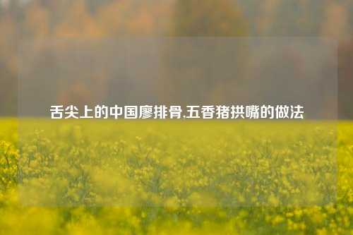 舌尖上的中国廖排骨,五香猪拱嘴的做法