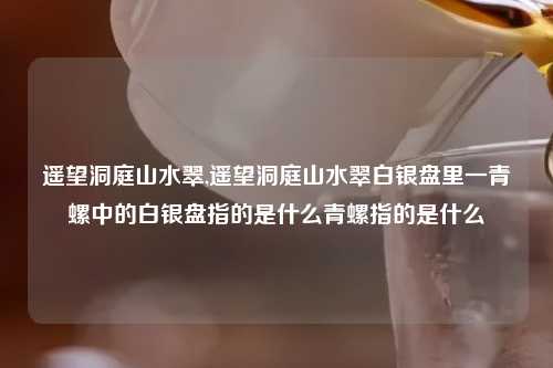 遥望洞庭山水翠,遥望洞庭山水翠白银盘里一青螺中的白银盘指的是什么青螺指的是什么