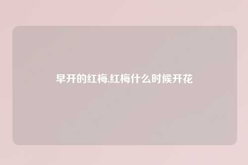 早开的红梅,红梅什么时候开花