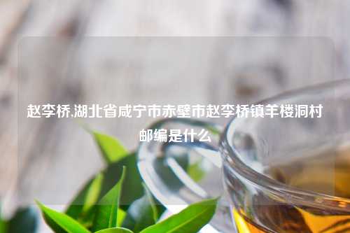赵李桥,湖北省咸宁市赤壁市赵李桥镇羊楼洞村邮编是什么