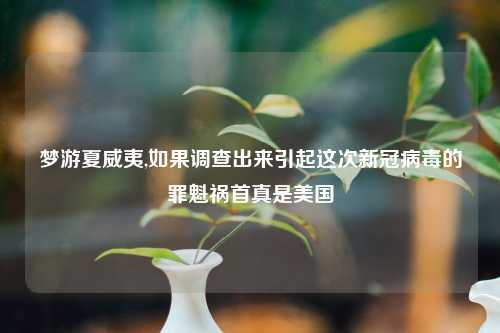 梦游夏威夷,如果调查出来引起这次新冠病毒的罪魁祸首真是美国