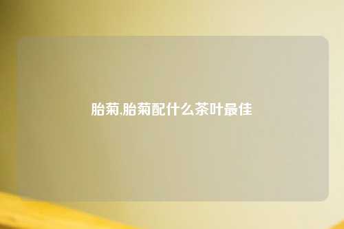胎菊,胎菊配什么茶叶最佳