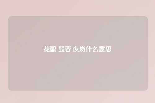 花酿 毁容,夜岚什么意思