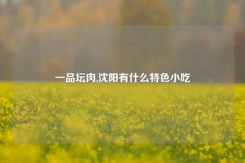 一品坛肉,沈阳有什么特色小吃