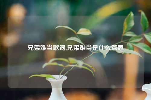 兄弟难当歌词,兄弟难当是什么意思