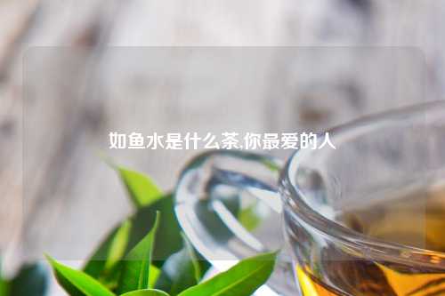 如鱼水是什么茶,你最爱的人