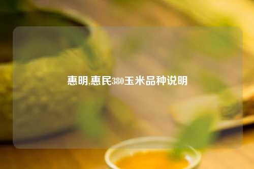 惠明,惠民380玉米品种说明