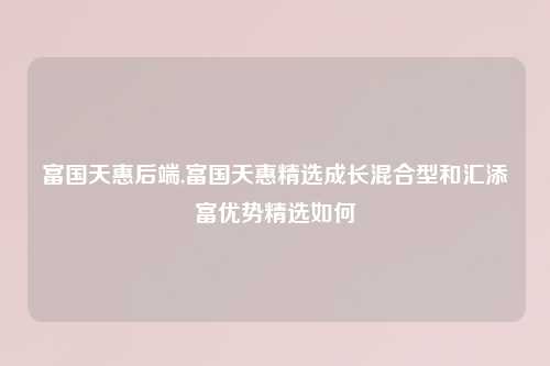 富国天惠后端,富国天惠精选成长混合型和汇添富优势精选如何