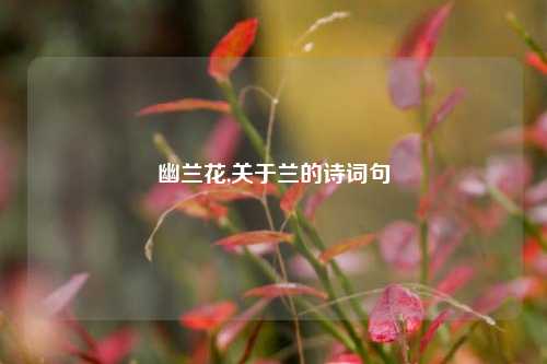 幽兰花,关于兰的诗词句