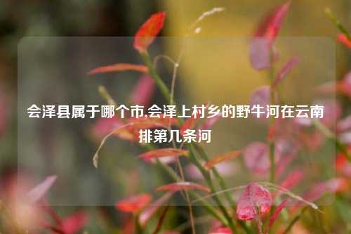 会泽县属于哪个市,会泽上村乡的野牛河在云南排第几条河