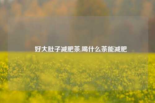 瑧好大肚子减肥茶,喝什么茶能减肥