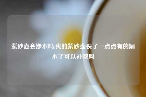 紫砂壶会渗水吗,我的紫砂壶裂了一点点有的漏水了可以补救吗