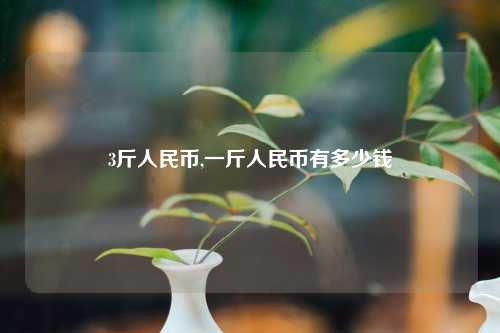 3斤人民币,一斤人民币有多少钱